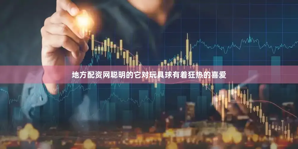 地方配资网聪明的它对玩具球有着狂热的喜爱