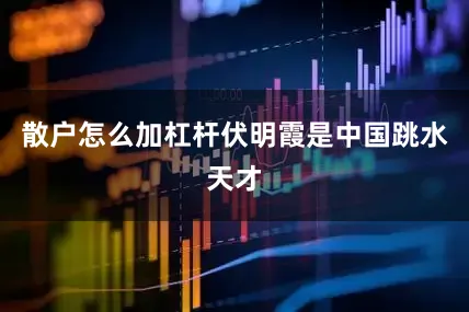 散户怎么加杠杆伏明霞是中国跳水天才